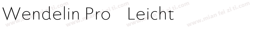 Wendelin Pro 45 Leicht字体转换
